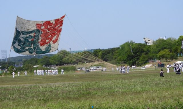 相模　大凧まつり