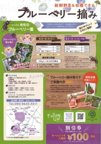 ブルーベリー狩り　南町田