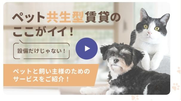 ペット共生の動画