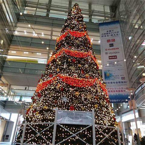 相模大野　クリスマスツリー