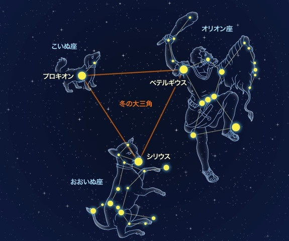 大和市　シリウス　ベテルギウス