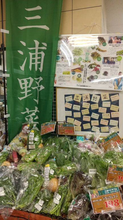 三浦野菜